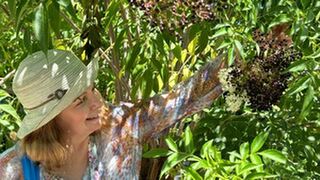 Natural Perfume Consultancy (commercial)